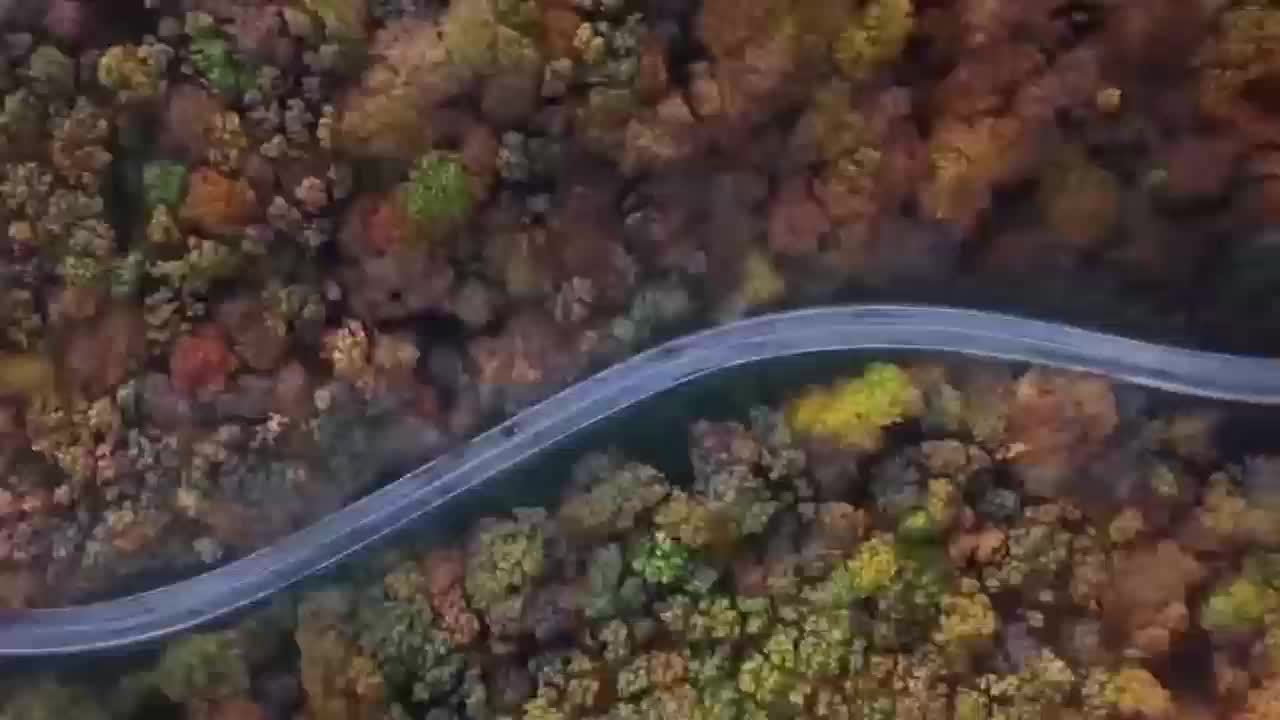 Product dc80764643ebc4d52192010a78efb3bc63fbe853.temu .000001